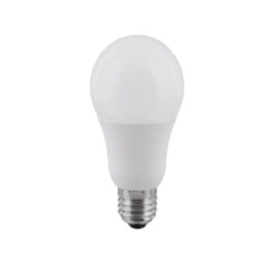 Lampe LED, 10W / 230V, EC A60